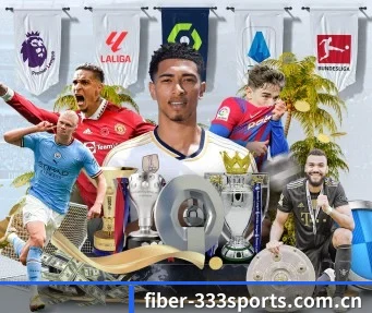 fiber-333sports.com.cn APP